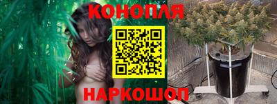 первитин Будённовск
