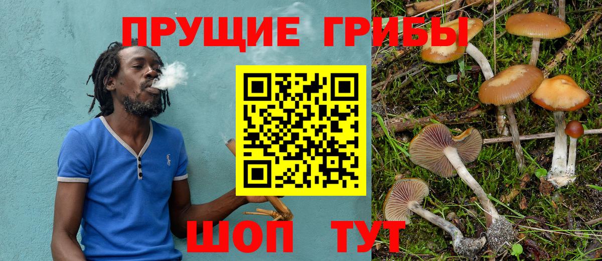 Галлюциногенные грибы прущие грибы  Псилоцибиновые грибы мухоморы  Вход с VPN  Раменское 